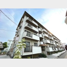 隆豊ハイツ 4階 築41年5ヶ月の賃貸物件