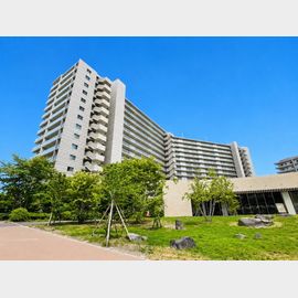 千里丘駅より徒歩15分 11階 築11年3ヶ月の賃貸物件