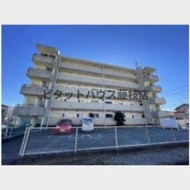 メゾンするが 5階 築38年6ヶ月の賃貸物件