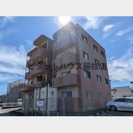 Ｙ＆ＭＬｉｆｅ 4階 築16年11ヶ月の賃貸物件