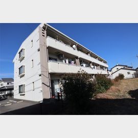 ＷｉｌｌｏｗＣｏｕｒｔ 3階 築14年の賃貸物件