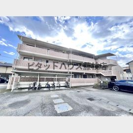 エクセレント大覚寺 2階 築29年5ヶ月の賃貸物件