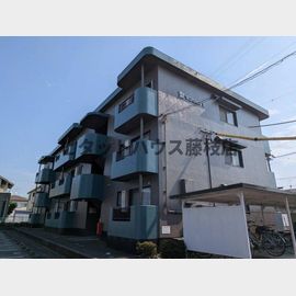 聖マンション１ 3階 築31年3ヶ月の賃貸物件