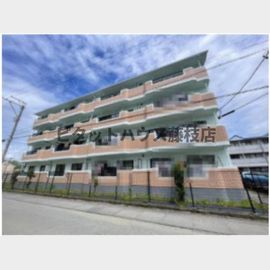 コモ・グランデ 2階 築30年6ヶ月の賃貸物件