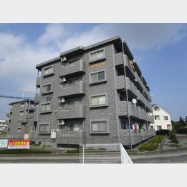 六合駅より徒歩16分 1階 築22年5ヶ月の賃貸物件