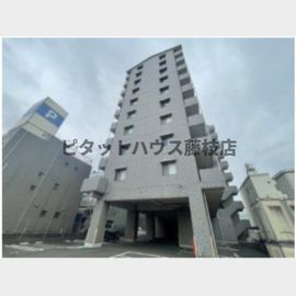 藤枝駅より徒歩4分 5階 築11年2ヶ月の賃貸物件