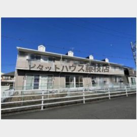 メゾンヤマショーAの賃貸物件