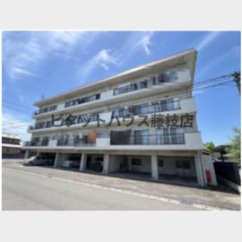 きめたマンション 4階 築50年9ヶ月の賃貸物件