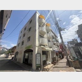 ラナハウス 4階 築43年の賃貸物件