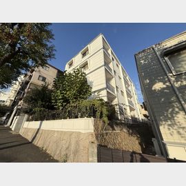 川崎マンション 2階 築57年の賃貸物件