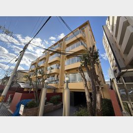 住吉駅より徒歩9分 2階 築53年6ヶ月の賃貸物件