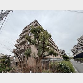 住吉駅より徒歩16分 6階 築34年1ヶ月の賃貸物件