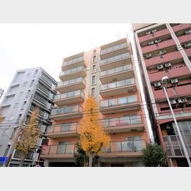 ｇｒａｃｅ大阪港 3階 築36年9ヶ月の賃貸物件