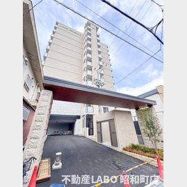 LouisResidence天王寺町北 12階 築1年1ヶ月の賃貸物件