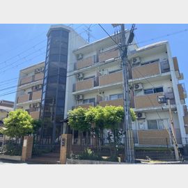 メゾン市川壹番館 1階 築40年6ヶ月の賃貸物件