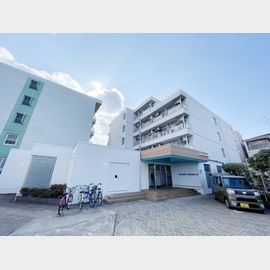 セレーネ田辺３—Ｂ 2階 築31年3ヶ月の賃貸物件