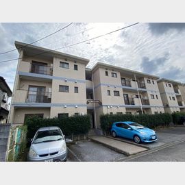 第１湯浅マンション 1階 築35年3ヶ月の賃貸物件