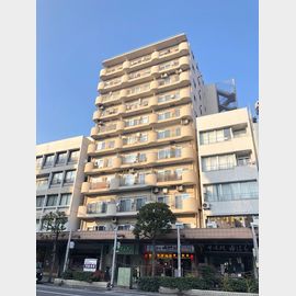 セブンスターマンション門前仲町 5階 築48年4ヶ月の賃貸物件