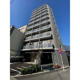 メゾンピオニー東向島の賃貸物件