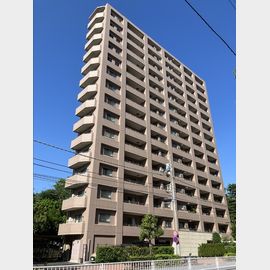 カスタリア荒川 13階 築19年2ヶ月の賃貸物件