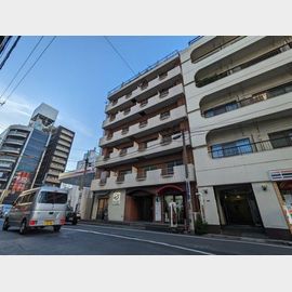 ベルグリーン錦糸町 7階 築42年9ヶ月の賃貸物件