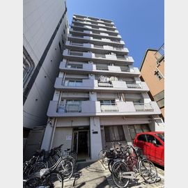 向島ダイヤマンション 8階 築53年2ヶ月の賃貸物件