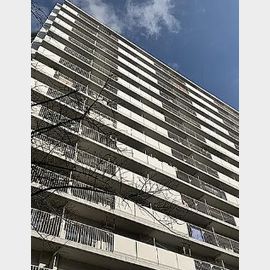 ファミリータウン東陽D棟 7階 築44年3ヶ月の賃貸物件