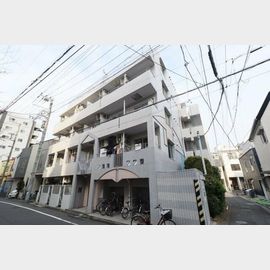 コスモ隅田アクティ 1階 築37年の賃貸物件