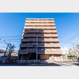 ドルチェ東京向島弐番館の賃貸物件