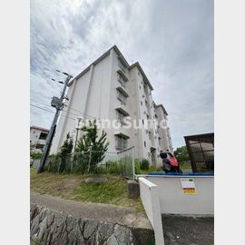 塩屋住宅３号棟 2階 築52年11ヶ月の賃貸物件