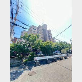 朝霧駅より徒歩33分 8階 築43年1ヶ月の賃貸物件