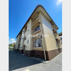 美善ハイツ 2階 築47年9ヶ月の賃貸物件