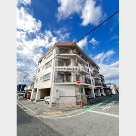 ショウワマンション 4階 築52年4ヶ月の賃貸物件