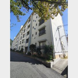 鶴甲コーポ１４号館 3階 築38年4ヶ月の賃貸物件