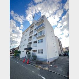 苦楽園口駅より徒歩19分 4階 築52年4ヶ月の賃貸物件