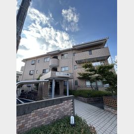 ラメール松江 3階 築30年4ヶ月の賃貸物件