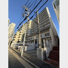 セントラルハイツ湊川セントラルプラザ 9階 築42年4ヶ月の賃貸物件