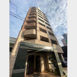 セイワパレス長堀南 3階 築18年10ヶ月の賃貸物件