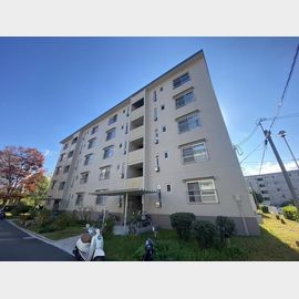 西舞子駅より徒歩41分 5階 築51年5ヶ月の賃貸物件