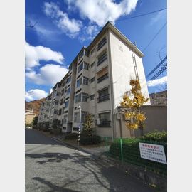 鶴甲コーポ１０号館 2階 築57年4ヶ月の賃貸物件