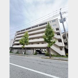 摩耶駅より徒歩4分 6階 築34年9ヶ月の賃貸物件