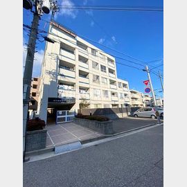 甲子園第５コーポラス 4階 築56年5ヶ月の賃貸物件