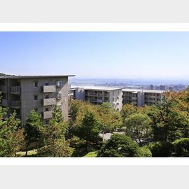 グリーンヒルズ御影7号棟 3階 築21年9ヶ月の賃貸物件