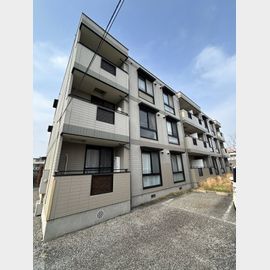 ビューラー藤木 1階 築31年6ヶ月の賃貸物件
