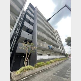 セレニテ甲子園 5階 築16年2ヶ月の賃貸物件