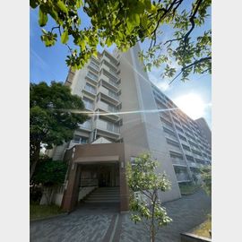 阪神国道駅より徒歩5分 8階 築28年6ヶ月の賃貸物件