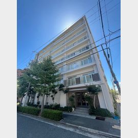 岡本駅より徒歩7分 7階 築53年10ヶ月の賃貸物件