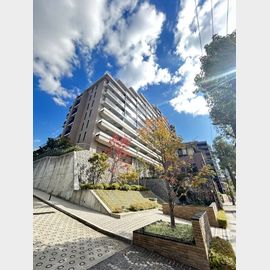 ジオ神戸中山手通の賃貸物件