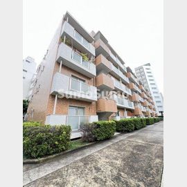 代官山ローヤルコーポ 1階 築48年5ヶ月の賃貸物件