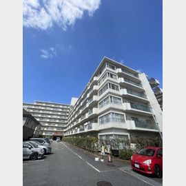 総合運動公園駅より徒歩37分 10階 築43年11ヶ月の賃貸物件
